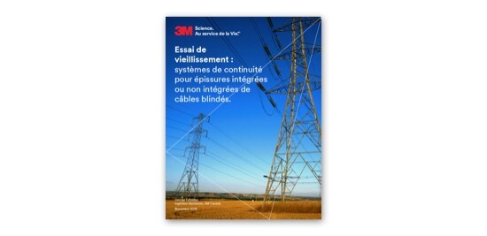 La couverture d’une brochure montrant des câbles d’alimentation électrique et des pylônes dans un champ. 
