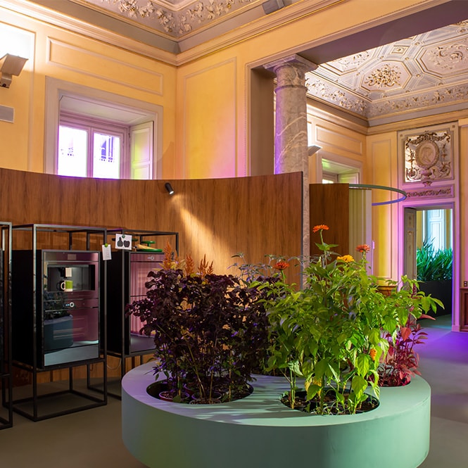 Conceptual interior layout featuring modern furnishings, coloured lighting, planters with flowers, and surfaces covered with solid coloured and DINOC films.