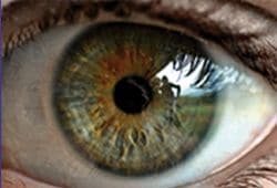 An emotional shot of a green eye.
