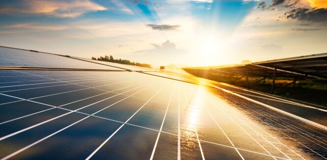 Le soleil brille sur des panneaux photovoltaïques.
