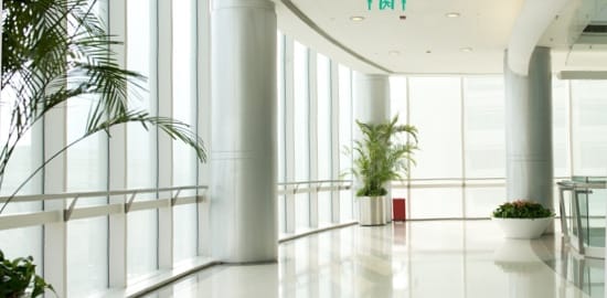 A hallway in an office building, the wall made up of windows.
