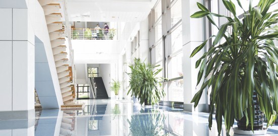 Hall d’entrée ouvert et lumineux avec de grandes plantes en pot et de grandes fenêtres jusqu’au plafond.
