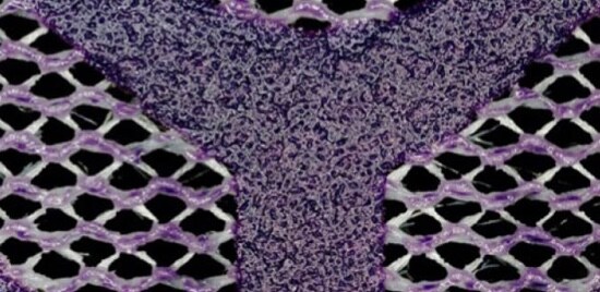 Vue rapprochée de la structure en treillis ouvert d’un Disque abrasif en treillis Cubitron(MC) II 3M(MC).
