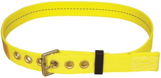 Une ceinture avec boucles à ardillon jaunes.
