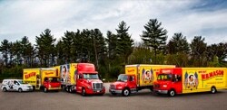 A fleet of trucks and vans wrapped in red and yellow films.
